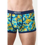 AWRY AWRY - CANVAS Trunks- Poppy