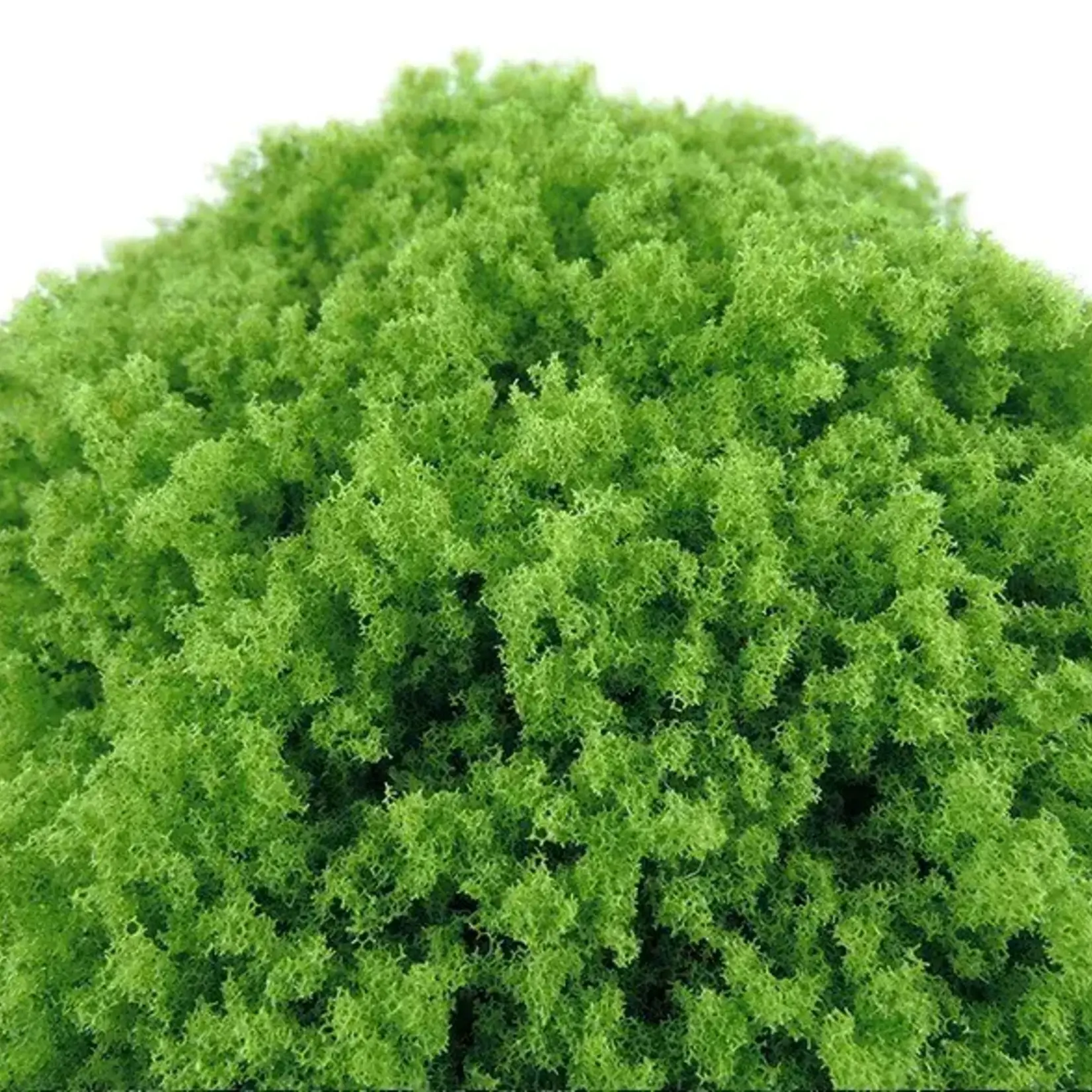 Huge Miniatures Bright Green Loose Foliage