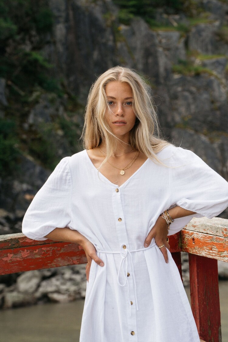 Jackson Rowe Steer Dress