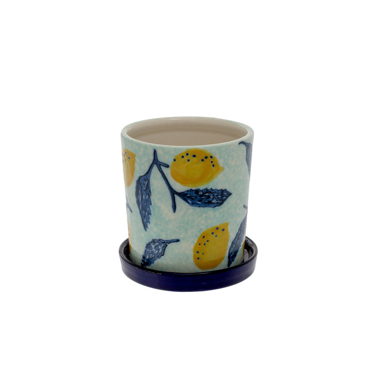 Indaba Lemon Breeze Pot
