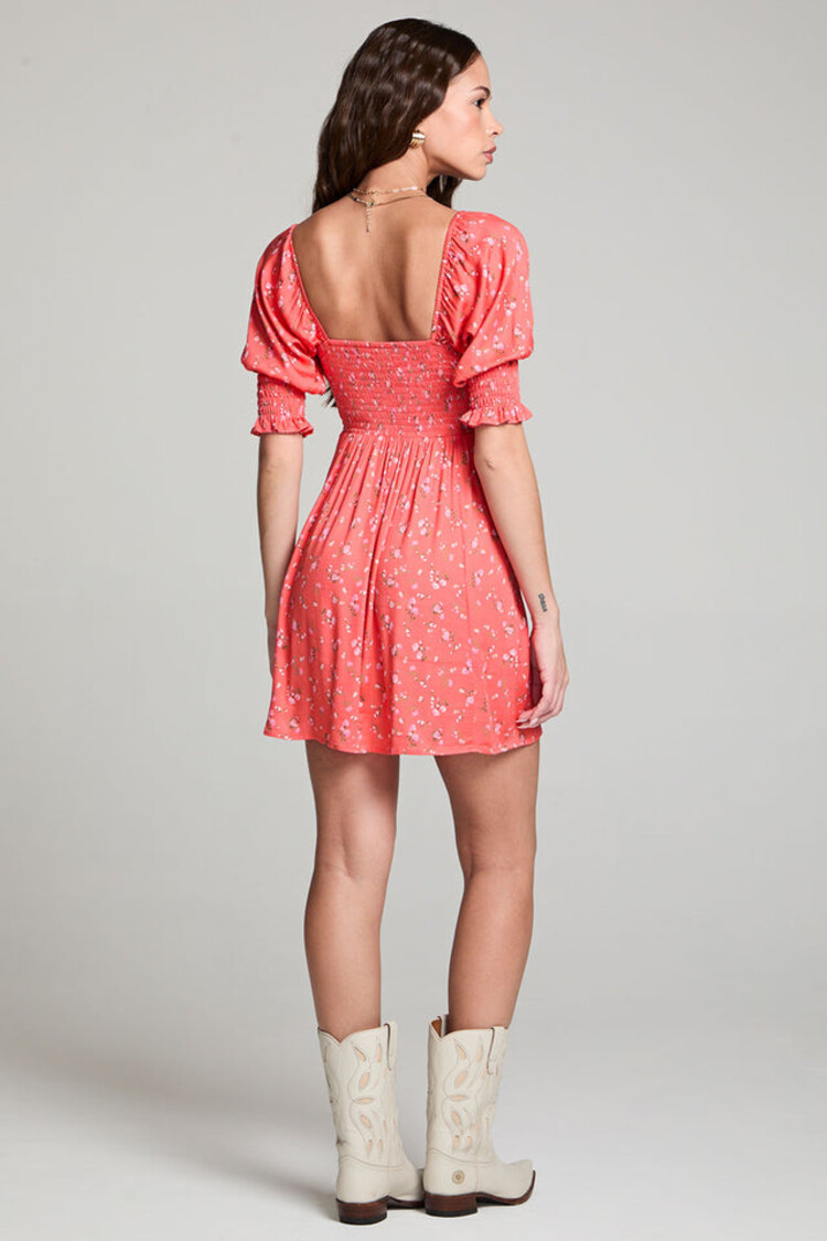 Saltwater Luxe Lumi Mini Dress