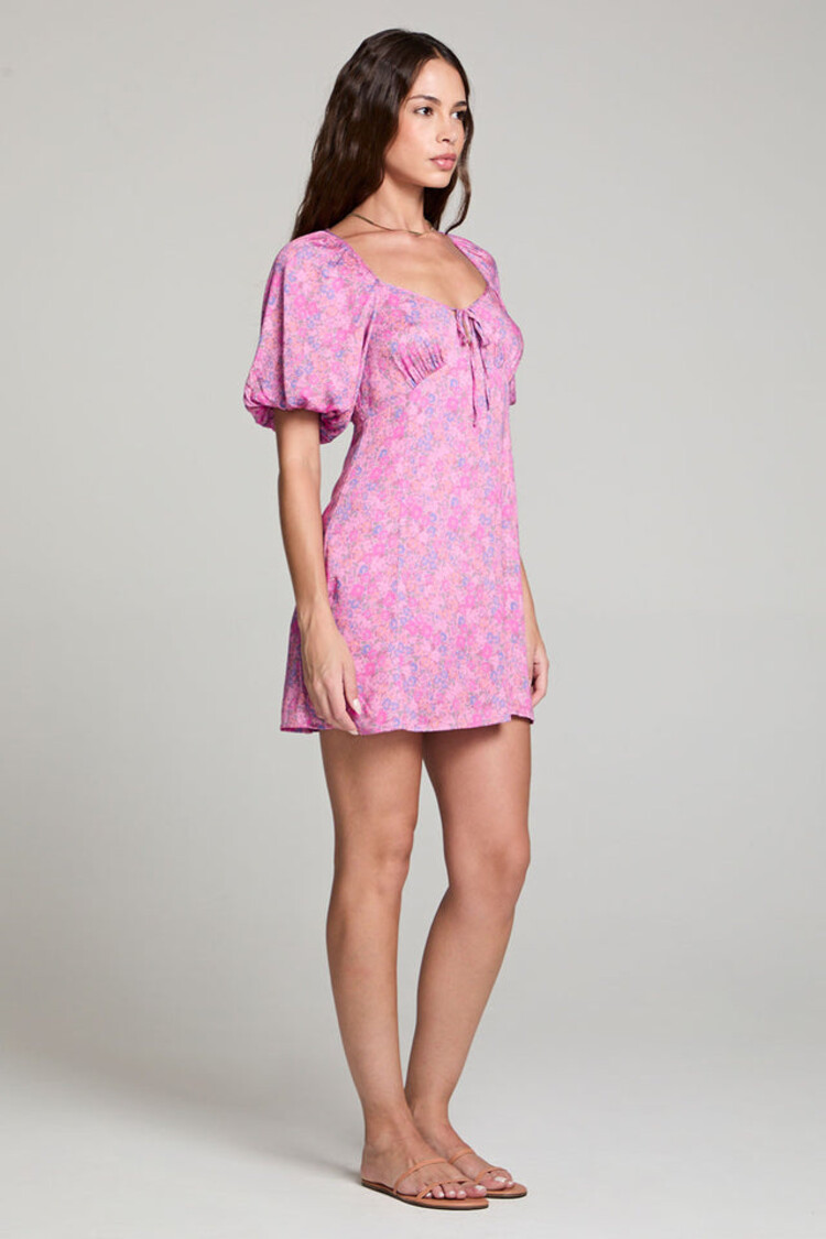 Saltwater Luxe Dia Mini Dress