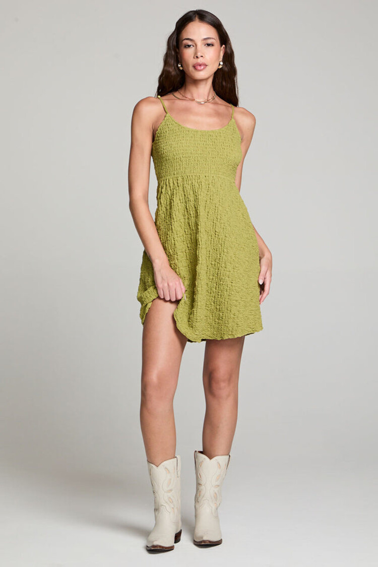 Saltwater Luxe Jazmyn Mini Dress
