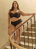 Panache 11192 Sophia Deep Brief SS25