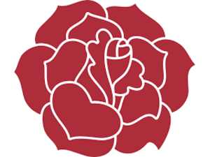 Rosa Ribelle