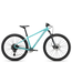 SPECIALIZED ROCKHOPPER EXPERT 29