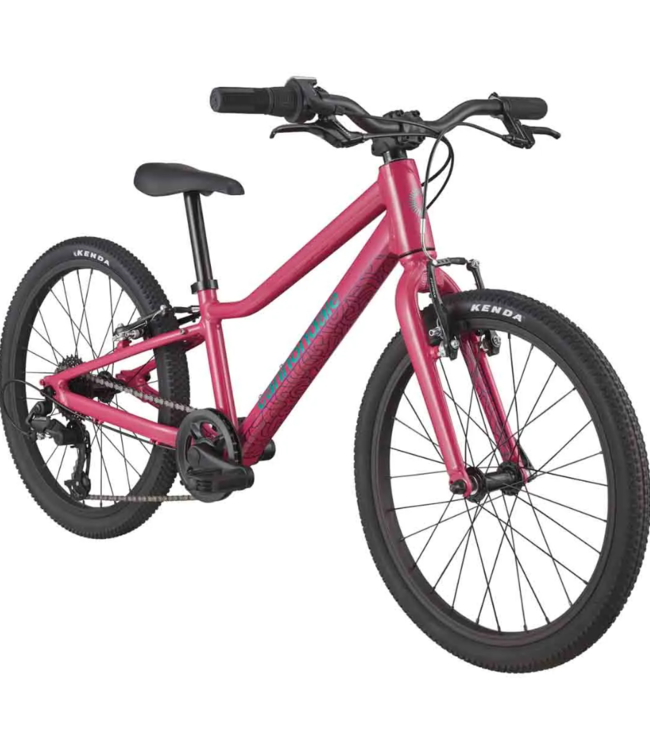 CANNONDALE KIDS QUICK 20