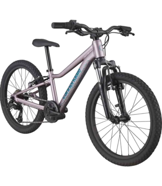 CANNONDALE KIDS TRAIL 20