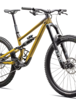 SPECIALIZED STATUS 2 170