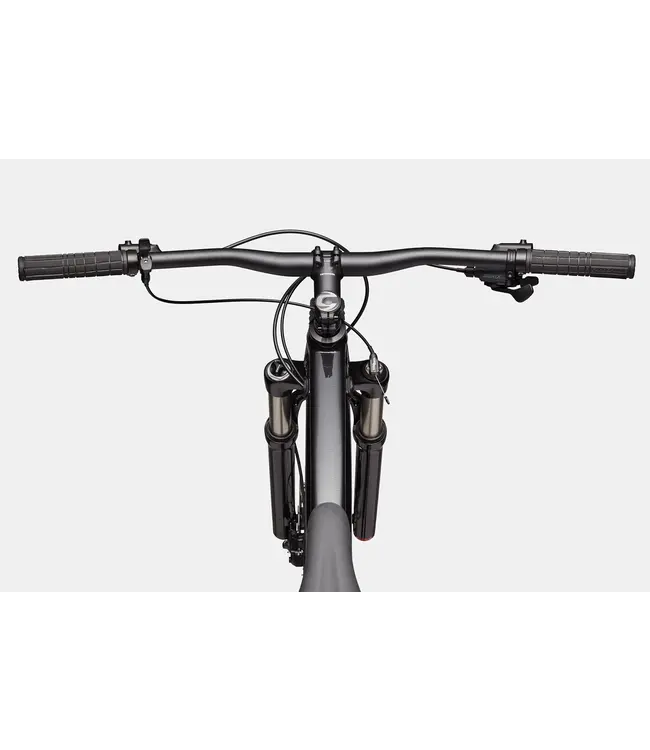 CANNONDALE TRAIL SL 4