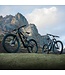 AMFLOW PL CARBON 800WH