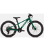 SPECIALIZED RIPROCK 20