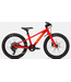 SPECIALIZED RIPROCK 20