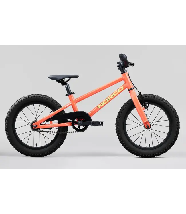 NORCO STORM 16