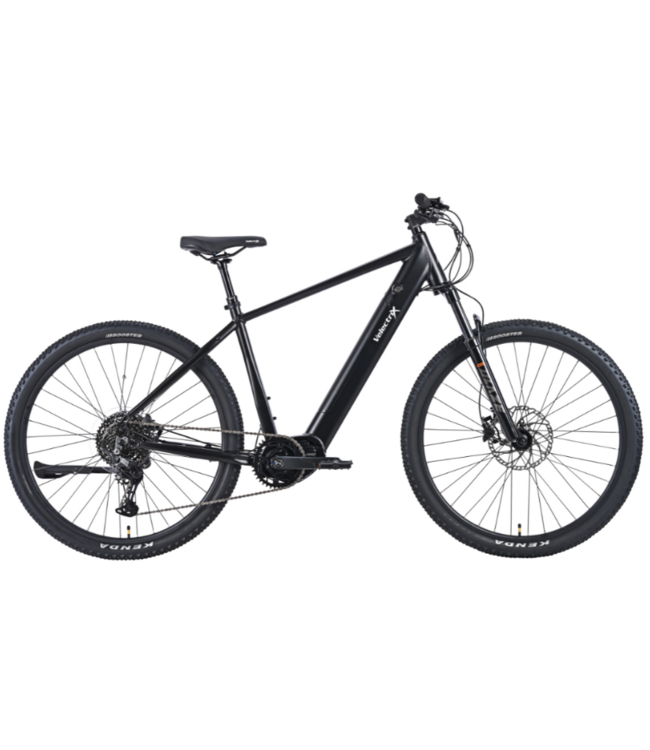 VELECTRIX ASCENT X