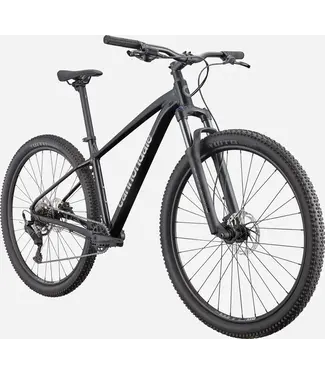 CANNONDALE TRAIL 2