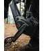 NORCO SIGHT VLT BOSCH A2