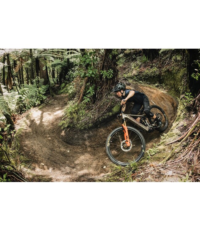 NORCO SIGHT VLT BOSCH A3