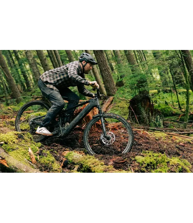 NORCO SIGHT VLT CX