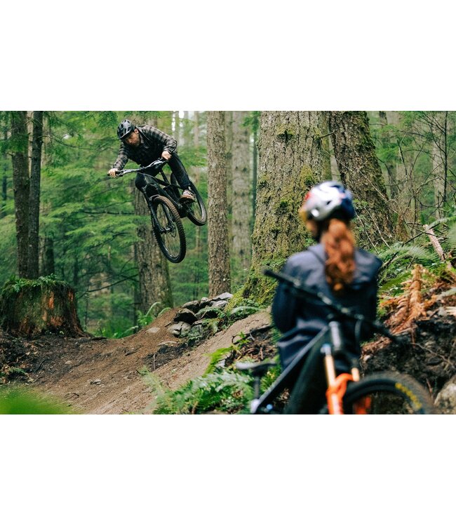 NORCO SIGHT VLT CX