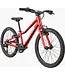 CANNONDALE KIDS QUICK 20