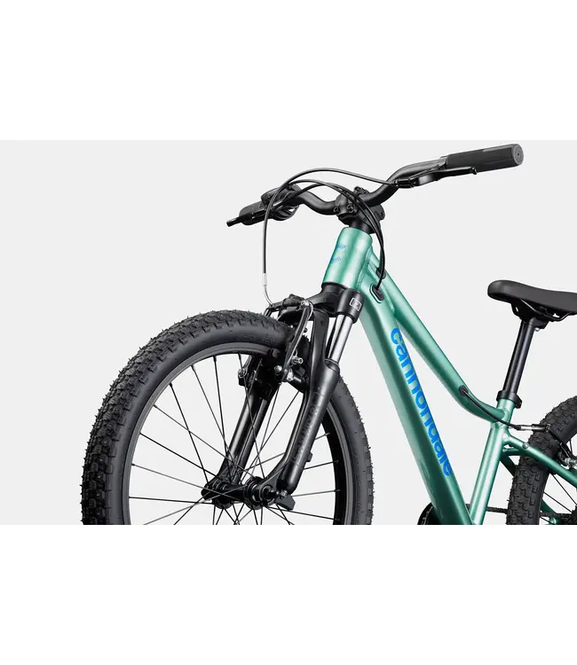 CANNONDALE KIDS TRAIL 20