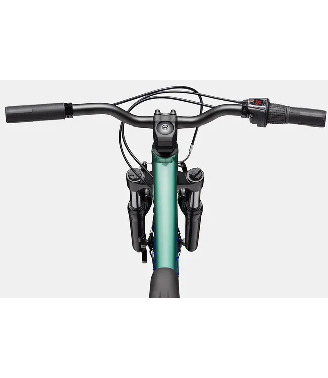 CANNONDALE KIDS TRAIL 20
