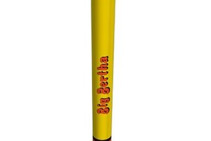 Estes Rockets EST1948  Big Bertha Model Rocket Kit, Skill Level 1