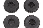 Team Associated Enduro24 Wheels & Tires, Mounted