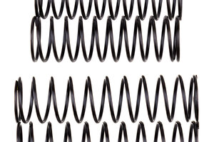 Team Associated Rival MT10 Shock Spring Set