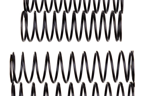 Team Associated Rival MT10 Shock Spring Set