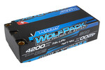 Team Associated Wolfpack HV-LiPo 4200mAh 50C 7.6V, Shorty