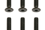 Team Associated M2.5 X 10mm FHCS