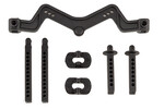 Team Associated DR10 Body Mount and Post