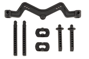Team Associated DR10 Body Mount and Post