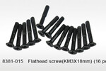 DHK Hobby Flathead Screw (3x18mm) (16) - Maximus