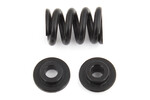 Team Associated B6.1 Slipper Spring