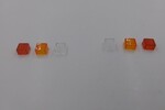 Cross RC Tailight Lens Assembly: SP4