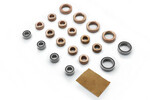 CARISMA Bearing and Bushing Set (19 pcs): SCA-1E