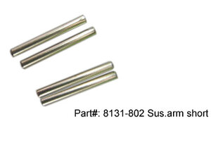 DHK Hobby Hinge Pins, Outer Rear (4 pcs)