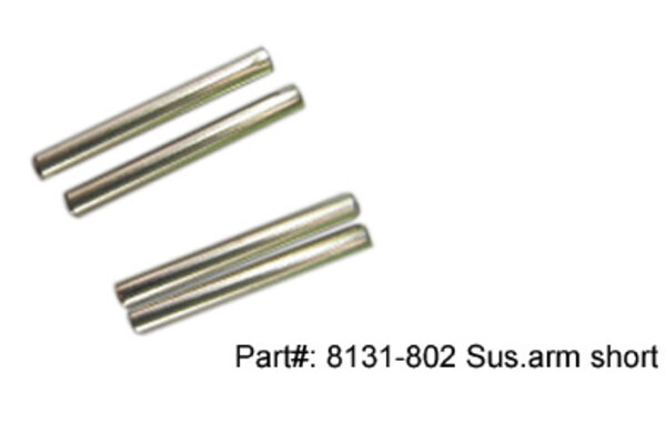 DHK Hobby Hinge Pins, Outer Rear (4 pcs)