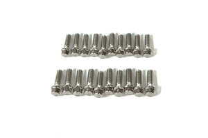 Gmade M2.5X8mm Scale Hex Bolts (20)