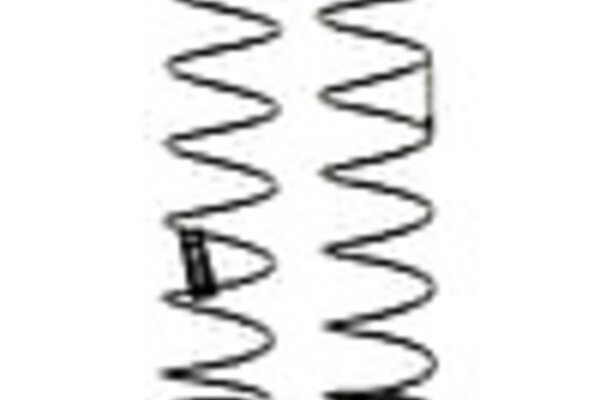 Mugen Seiki MUGE2560   Seiki Big Bore Rear Damper Spring Set (1.4/8.0T) (2)