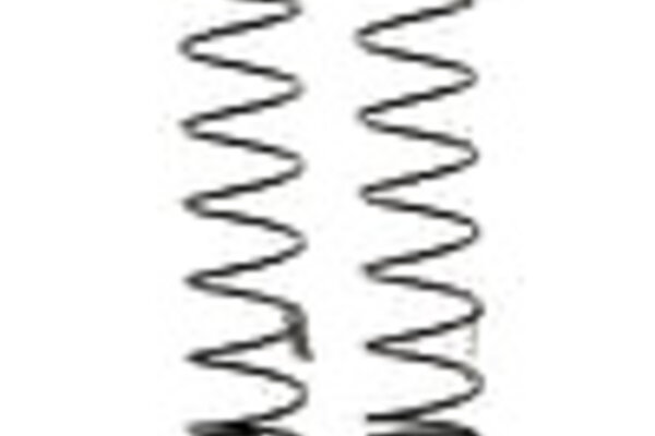 Mugen Seiki MUGE2559   Seiki Big Bore Rear Damper Spring Set (1.4/8.25T) (2)
