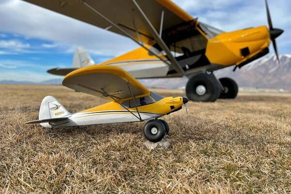 HobbyZone Carbon Cub S 2 1.3m Chandra Patey Limited Edition RTF