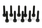 TLR (Team Losi Racing) TLR5934  Cap Head Screws, M3 x 16mm (10)