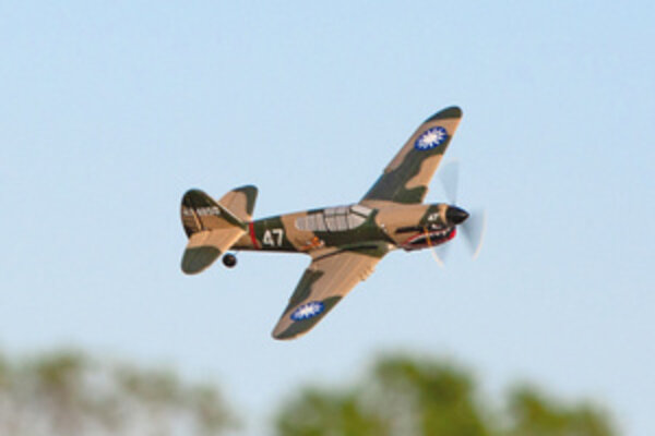 Rage R/C RGRA1305  Curtiss P-40 Warhawk Micro RTF Airplane w/PASS System