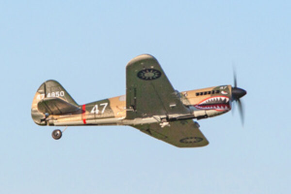 Rage R/C RGRA1305  Curtiss P-40 Warhawk Micro RTF Airplane w/PASS System