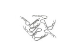 Racers Edge RCE1065  1/8 Body Clips (10)