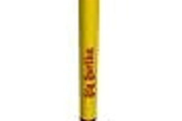 Estes Rockets EST1948  Big Bertha Rocket Kit Skill Level 1